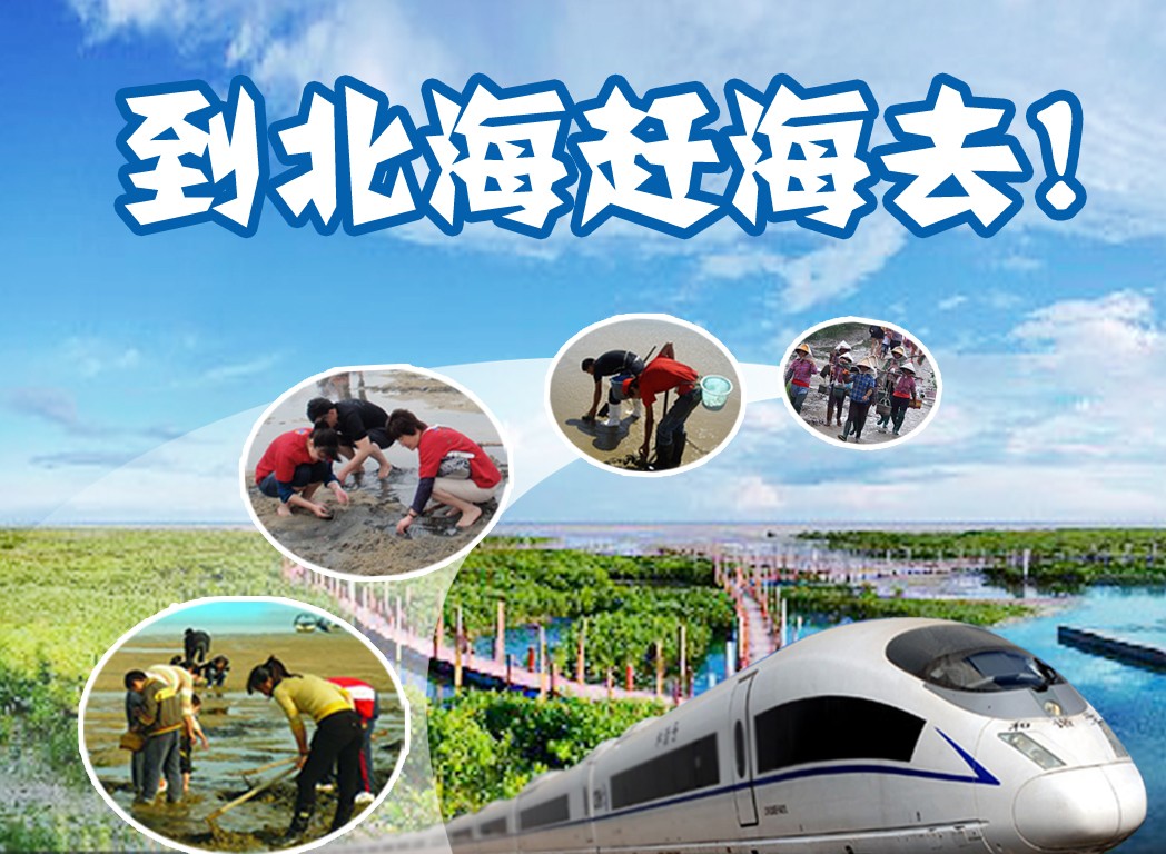 <b>北海一日精品游[北海银滩+豪华游轮环岛游+金海湾红树林赶海+百年老街+标志性广场]</b>