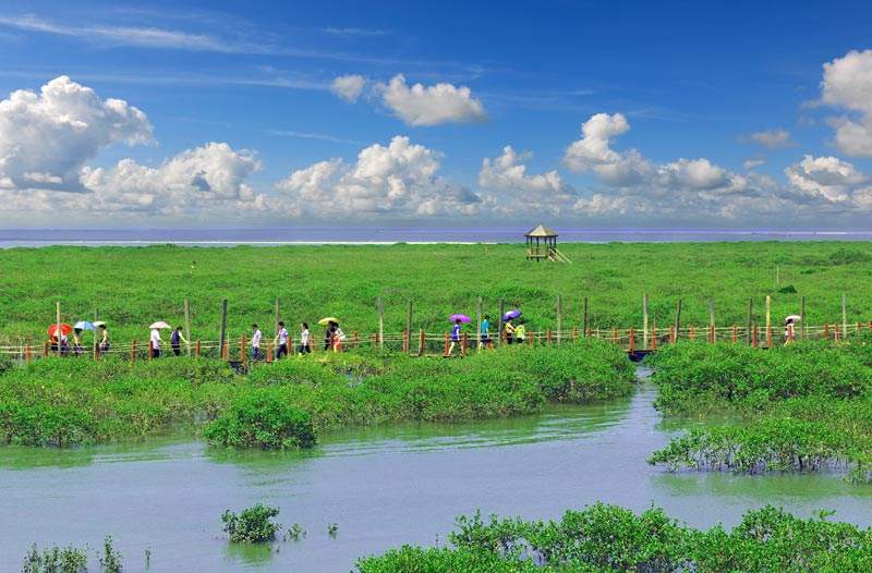 北海银滩•金海湾红树林•赶海一日游