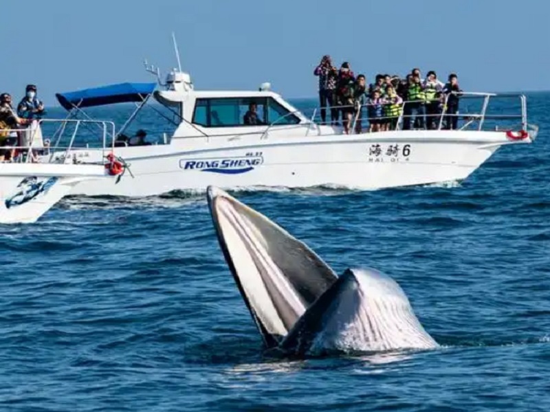 涠洲岛全景【火山口公园•五彩滩•南湾街•滴水丹屏】寻鲸鱼3天2晚 纯玩游